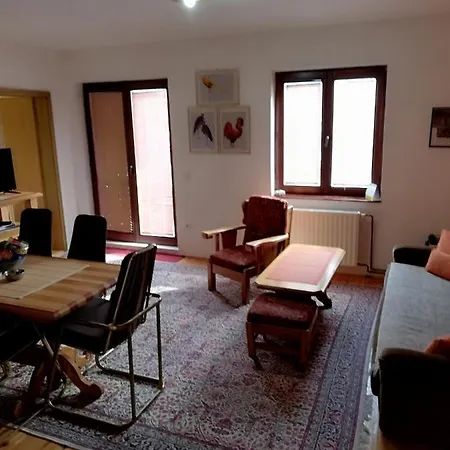 Apartment Tomic 54m2 *